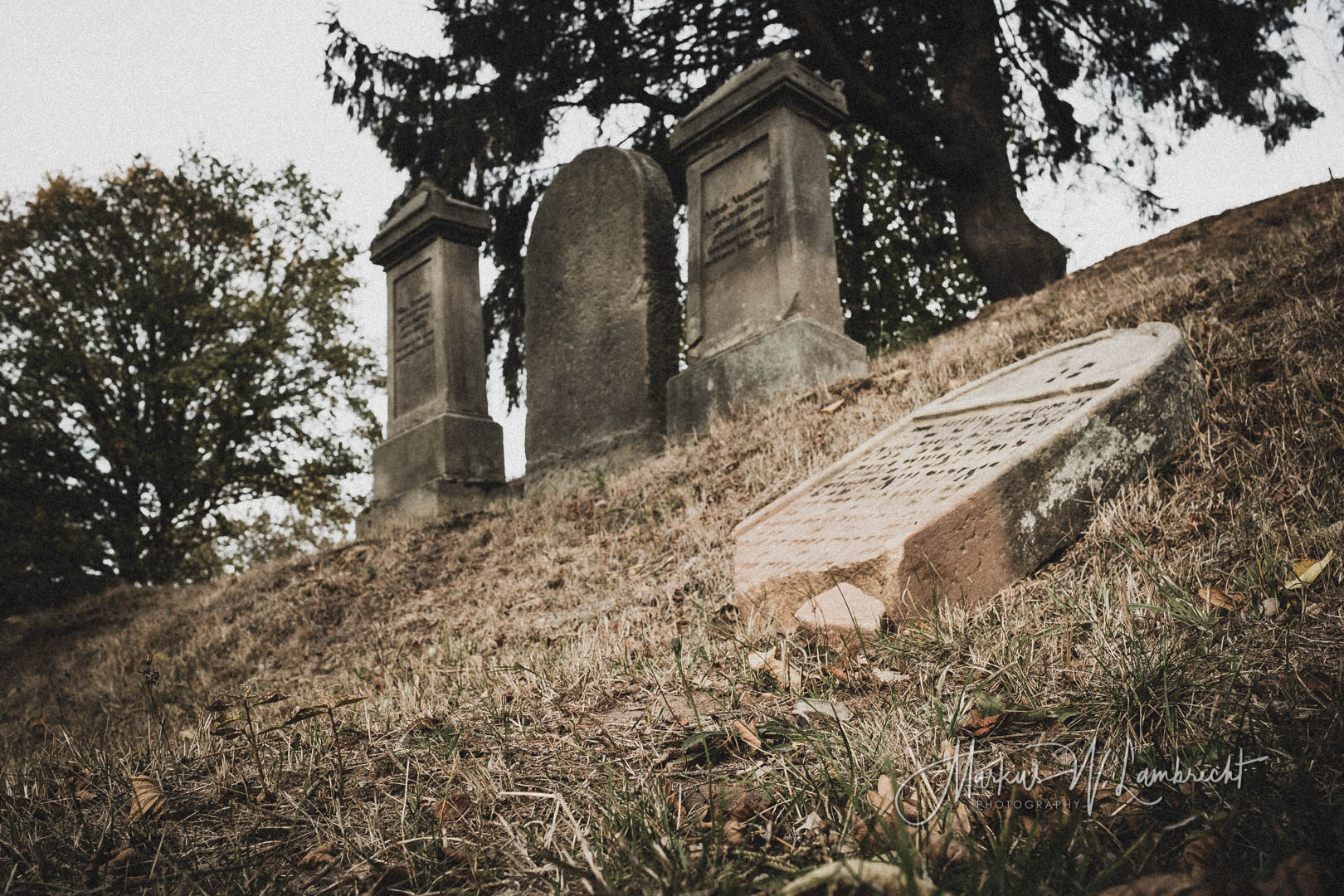Landau, Jüdischer Friedhof